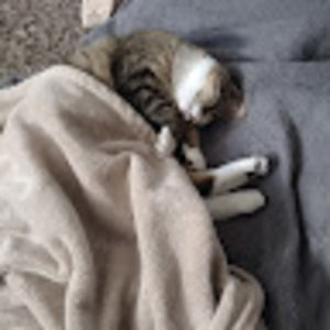 Meet your Posher, Teresa